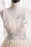 Champagne A-line Tulle Long Party HZ0307