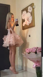 Princess Blush Pink Mini Homecoming Dress, Sweetheart Birthday HZ0307