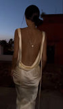 Sexy Backless Sheath Prom Dress, Sleeveless Night Party Dress, HZ0307
